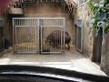 zoo 083